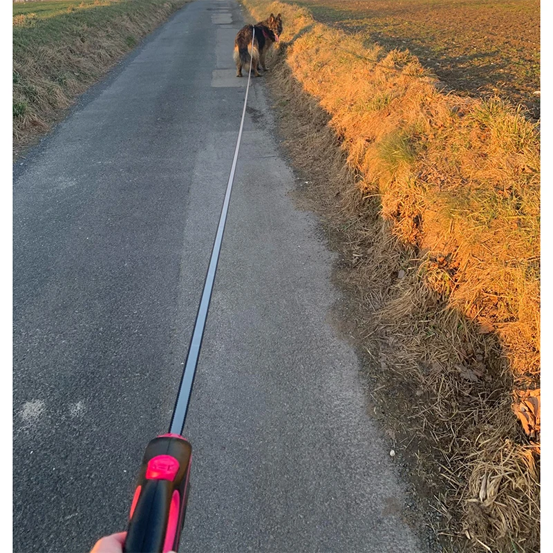 Correa para perro de 3m, 5m, 8m, 50kg, Collar de ruleta retráctil para accesorios para perros pequeños y grandes, cuerda ajustable duradera para caminar, senderismo, Bulldog