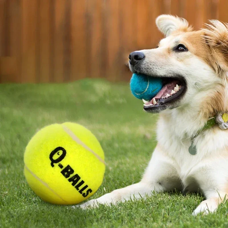 Juego de juguetes para perros Q-MONSTER, pelotas para masticar con chirrido de goma Natural de pared gruesa para perros, tenis, pelotas hinchables interactivas para entrenamiento, paquete de 4