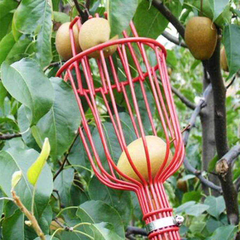 Máquina recolectora de frutas, dispositivo receptor de recogida de frutas, práctico y práctico, herramienta de jardinería