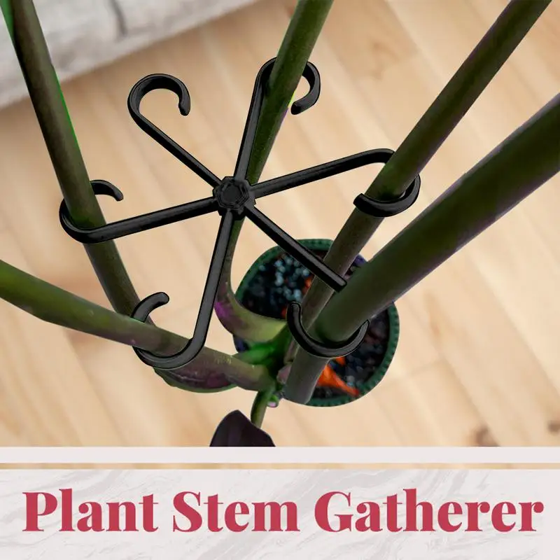 Clips de soporte para plantas trepadoras, colección de tallos de flores, estante de fijación, marco de soporte de escalada para escalar, vid Monstera de Alocasia, 4 Uds.