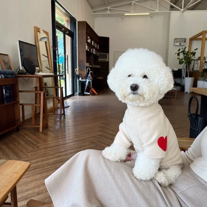 Sudaderas con capucha para perros pequeños, abrigo para mascotas, Chihuahua, bichón, Bulldog francés, gatito, cachorro, ropa cálida para perros, Otoño e Invierno