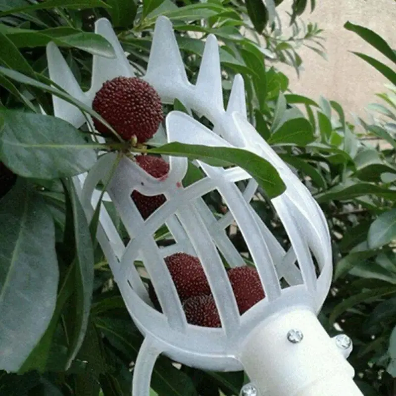 Cesta de jardín, cabezal recolector de frutas, herramienta de selección de frutas de plástico multicolor, suministros para recoger azufaifa Bayberry agrícola, 1 ud.