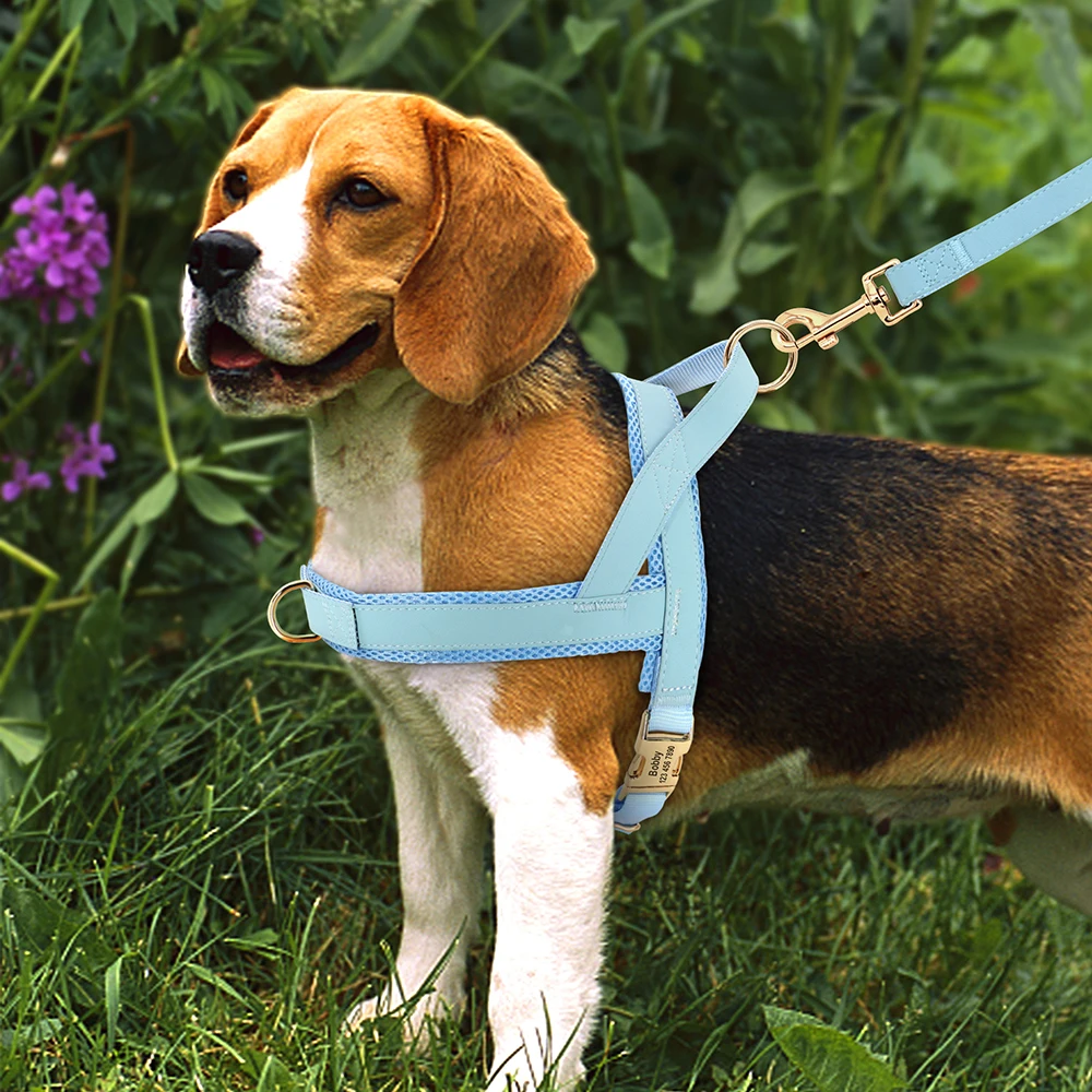 Arnés de perro personalizado sin tirones, chaleco de cuero para perro, arnés acolchado de malla suave para perros pequeños, medianos y grandes, Bulldog Francés