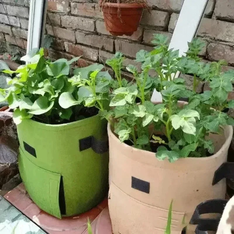 Bolsas de fieltro para cultivo de plantas, tela no tejida, maceta de patatas de jardín, bolsas de cultivo de verduras de invernadero, herramientas verticales hidratantes, 3 estilos