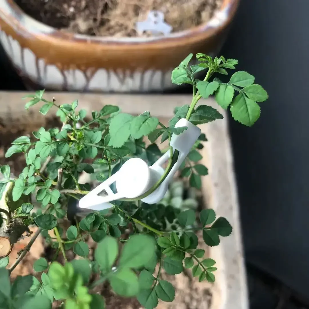 Doblador de ramas de plantas, Clip doblador de plantas ajustable de 360 grados para entrenamiento de plantas de bajo estrés, soporte de jardín, suministros de jardín