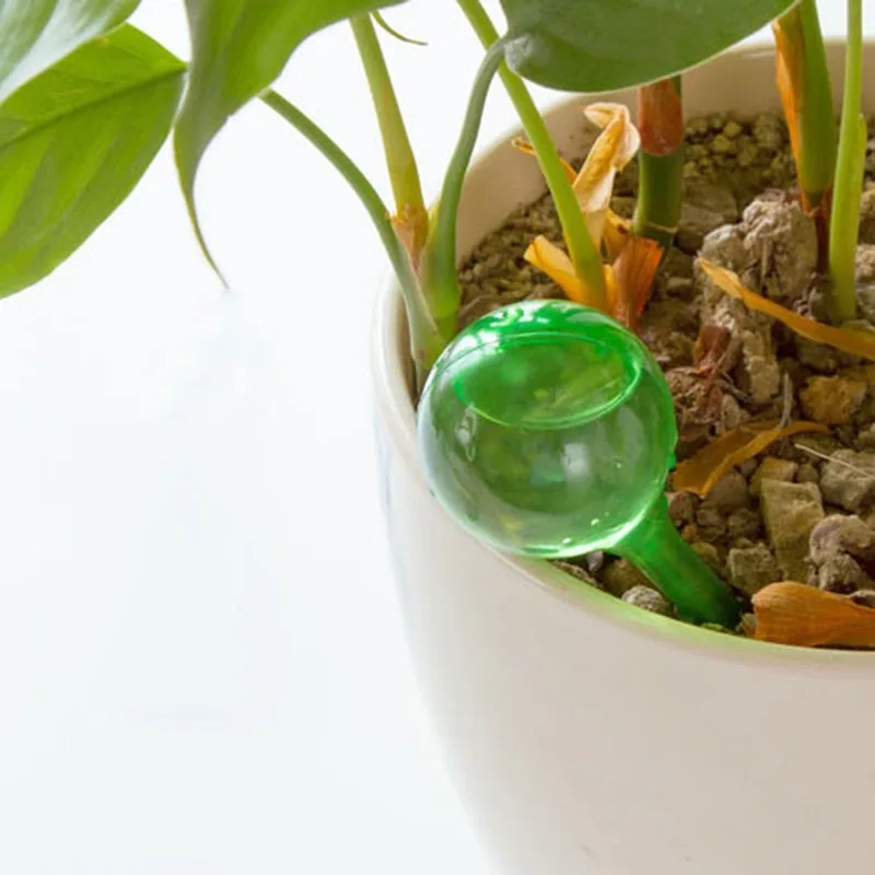 Bombillas de riego de plantas, globos de autorriego automático, bolas de plástico, dispositivo de agua para jardín, bombillas de riego para promoción de plantas, 5/12 Uds.