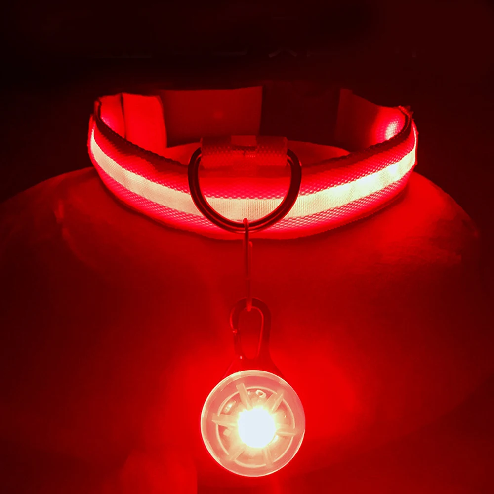 Collar Luminoso USB Recargable para Perros con Colgante Desmontable, Luz LED de Lujo Brillante para Perros Pequeños y Gatos, Collar de Seguridad Nocturna, Venta al Por Mayor