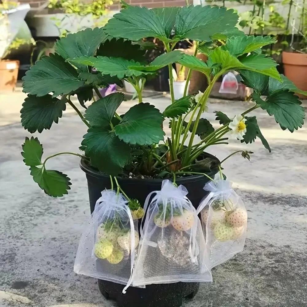 50-300 Uds. Bolsas de malla protectora para frutas, bolsas de protección para uvas, bolsas de malla antipájaros para jardín, cubierta de malla para plantas y vegetales
