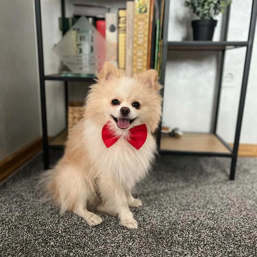 Venta al por mayor 100/50/20 lindo ajustable perro gato pajarita cuello personalizado cachorro pajaritas mascotas accesorios de aseo suministros para perros mascota
