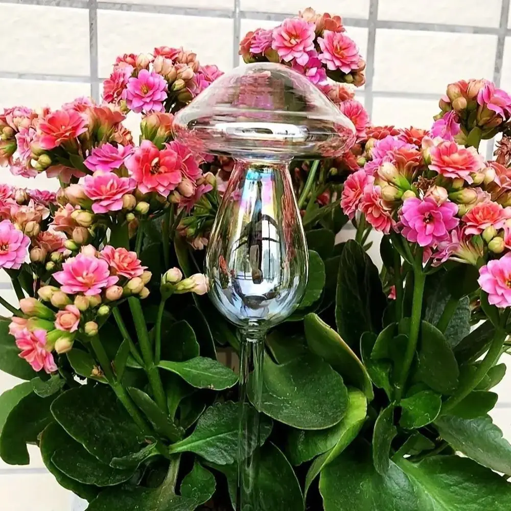 Globos de vidrio para riego de plantas, sistema de riego por goteo con forma de seta, arcoíris