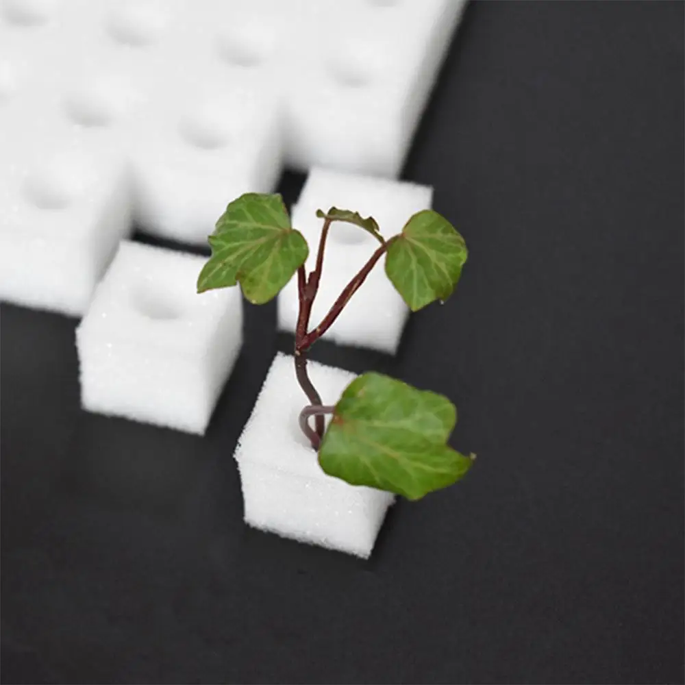Esponja para plantas hidropónicas, 100 agujeros/hoja, cultivo de jardín, plántulas, cultivo sin suelo, herramientas para plantar verduras, bandeja para macetas de vivero