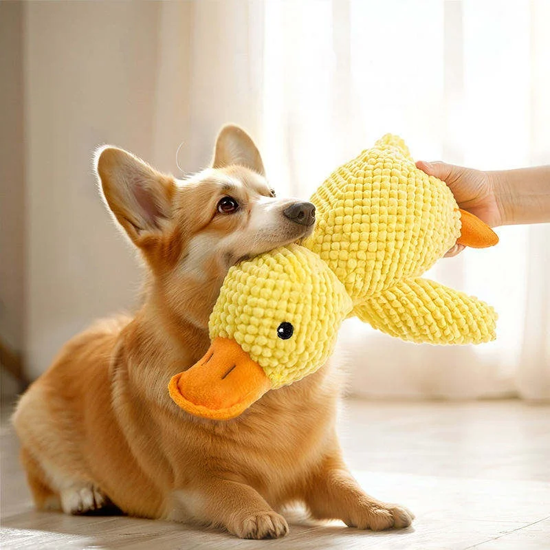 Juguete de Peluche para Perros en Forma de Pato, Resistente a Mordidas, Juguete Chirriante para Cachorros en Fase de Dentición, Pato de Peluche Suave para Dormir, Alivia el Estrés, Juguete Masticable para Mascotas