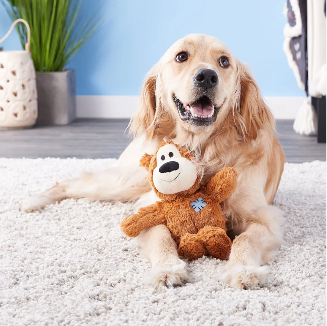 KONG Wild Knots Bear Dog Toy, varios colores al azar