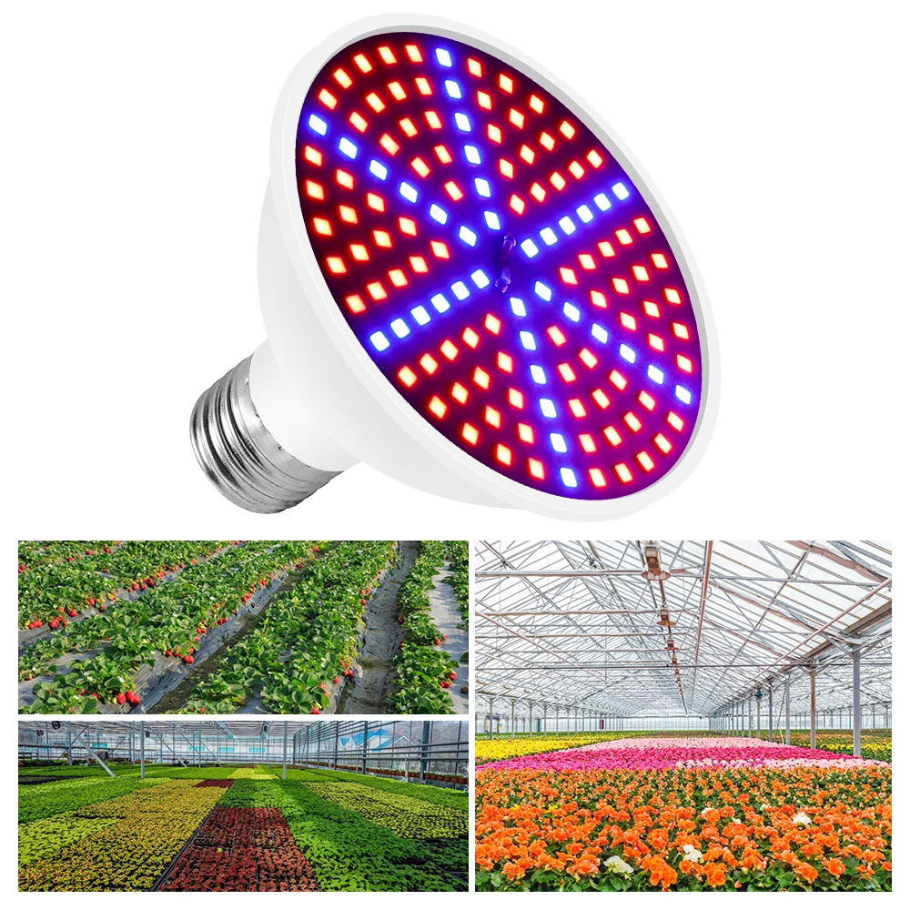 Bombilla LED para cultivo de plantas, fitoamplificador de espectro completo, semillas de flores de interior, lámpara LED hidropónica para cultivo de plantas, Growbox