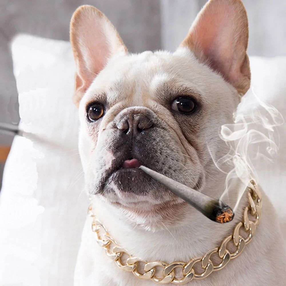 Collar de perro de lujo, Collar dorado para mascotas, gargantilla de cadena para perro, Bulldog Pitbull, Teddy, Bulldog Francés, Collar de Metal, productos de joyería para mascotas