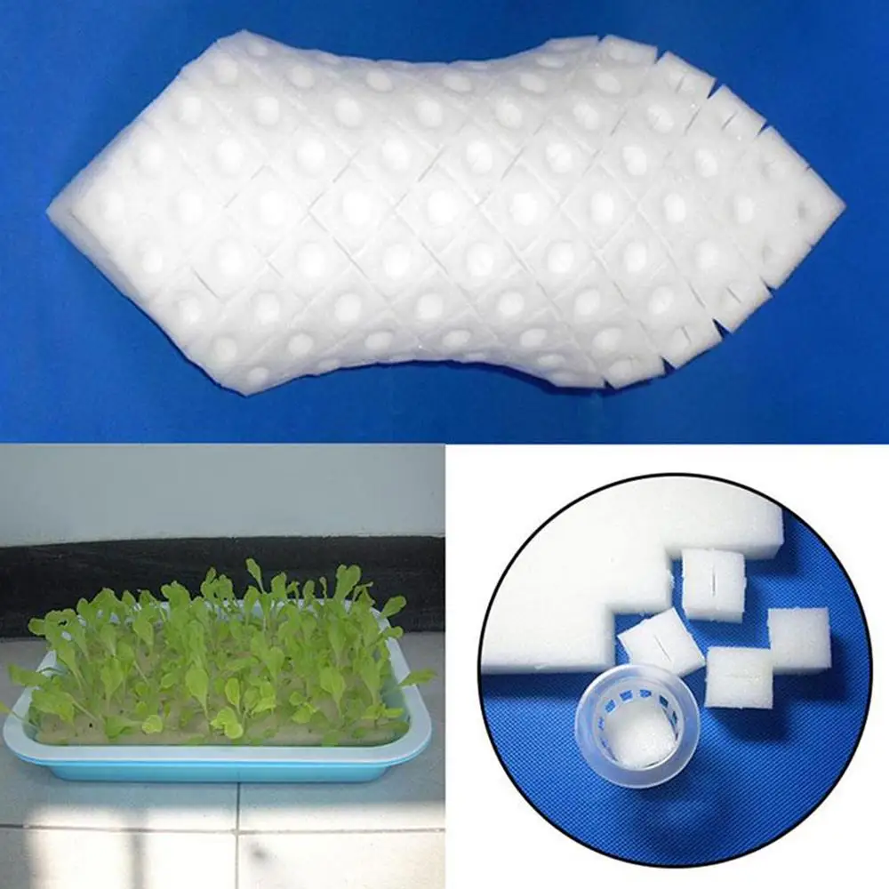 Esponja para plantas hidropónicas, 100 agujeros/hoja, cultivo de jardín, plántulas, cultivo sin suelo, herramientas para plantar verduras, bandeja para macetas de vivero