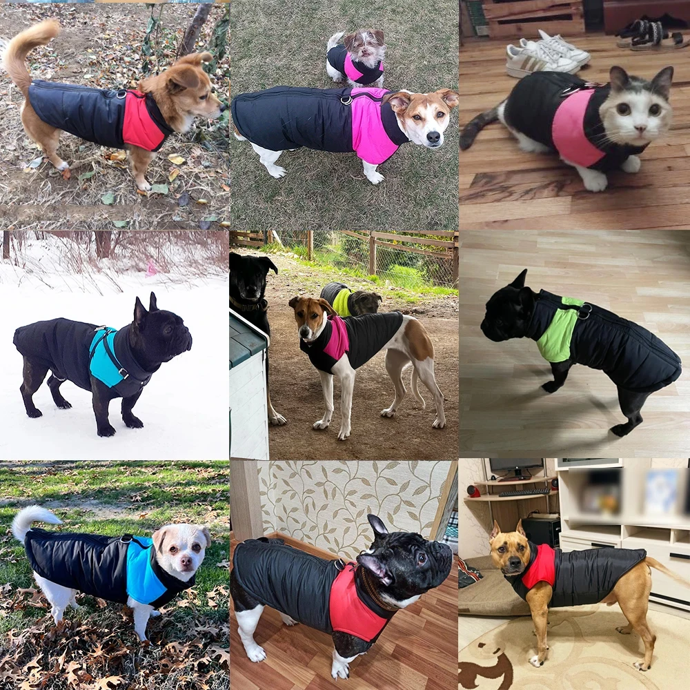Chaqueta para perro de otoño e invierno con anillo en D para perros pequeños y grandes, ropa cálida impermeable con cremallera para cachorros, disfraces para mascotas Labrador Yorkies
