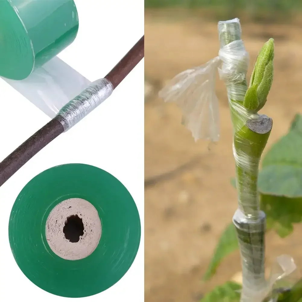 5 rollos de cinta de injerto de PVC, autoadhesivo, estirable, transparente, para jardín, árboles frutales, plantas, plántulas, envoltura protectora de vid, Parafilm