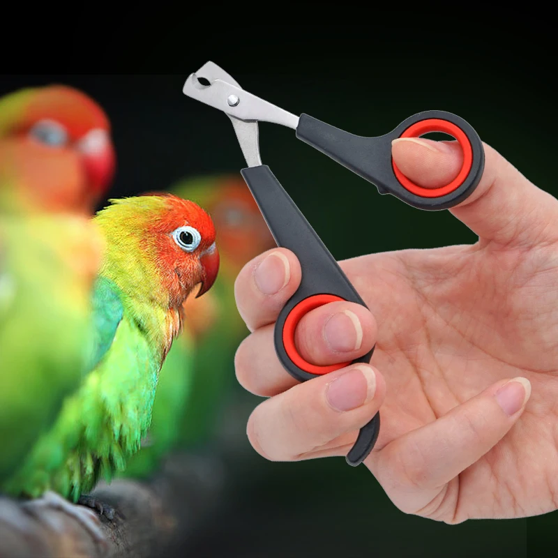 Pet pájaro loro animales pequeños accesorio herramienta de aseo tijeras para uñas cortaúñas negro y rojo
