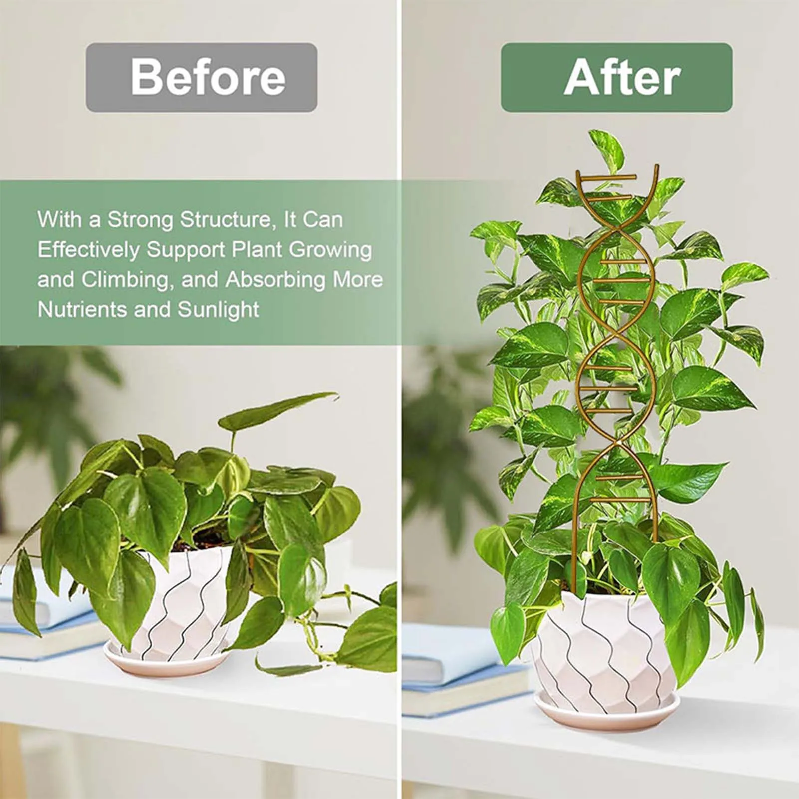 Estante de soporte de Metal para plantas trepadoras, enrejado de plantas, estante trepador de crecimiento de vid, soporte de flores, protección, suministros de jardín