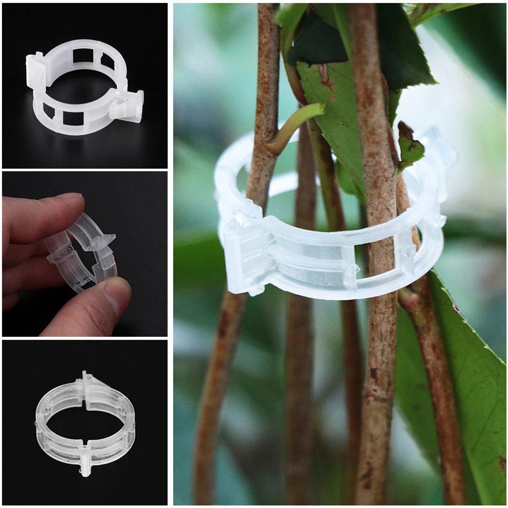 Clips de plástico para plantas, accesorio de protección reutilizable, herramienta de fijación de injerto, suministros de jardinería para vegetales y tomates, 50/100 unidades