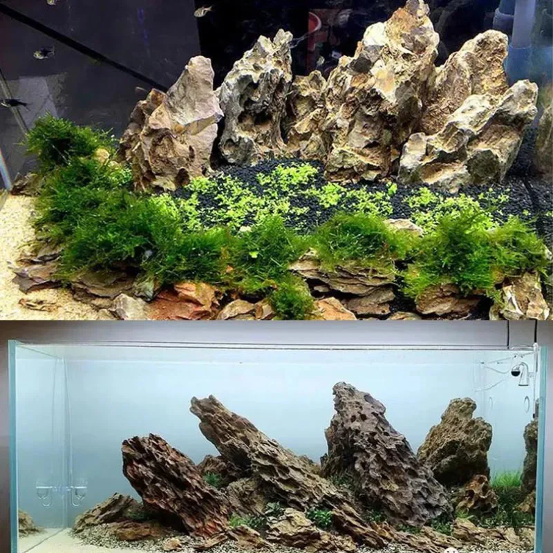 250g 500g 1000g Natural decoración de acuario piedra rocalla paisajismo pecera piedra microporosa buena para el crecimiento de plantas