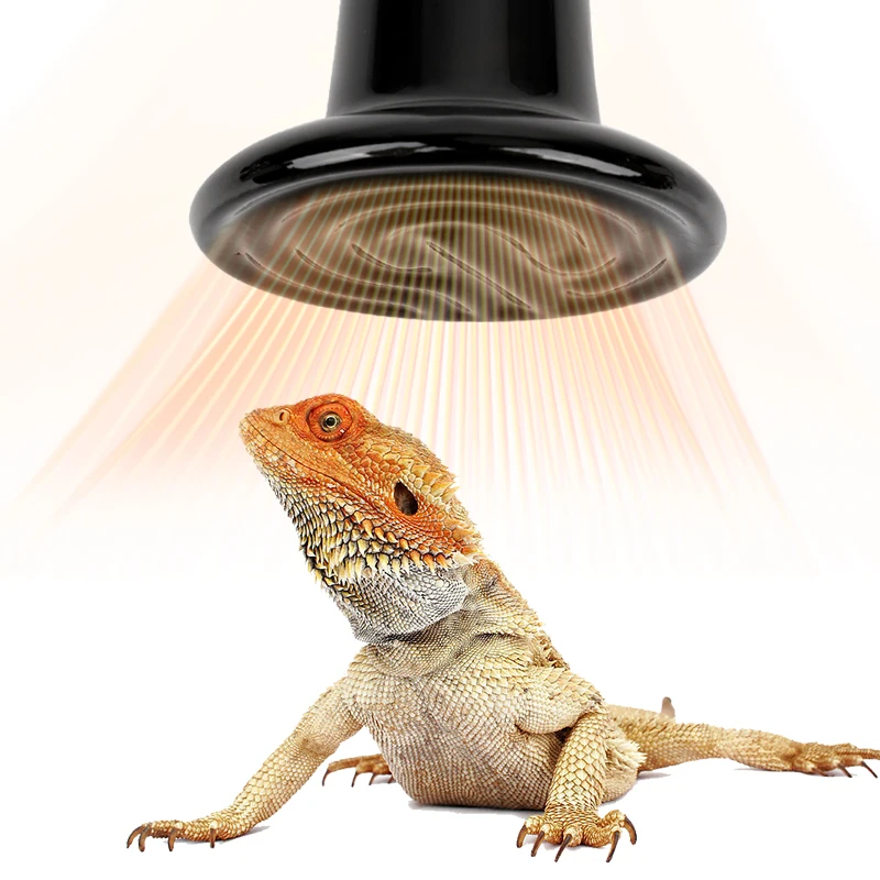 Lámpara calefactora de cerámica para reptiles, 75mm/45mm, sin luz, calentador de infrarrojos lejanos, tortuga, serpiente, lagarto, mascota, pollito, 220-240v, 1 Uds.