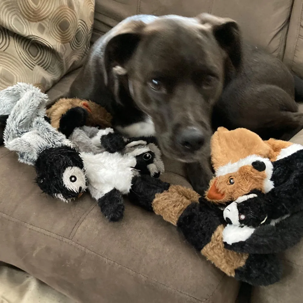 Animal simulado divertido, juguete para perros sin relleno con chirridos, juguete para masticar de perro chirriante de peluche duradero, juguete para chirrido para mascotas arrugado