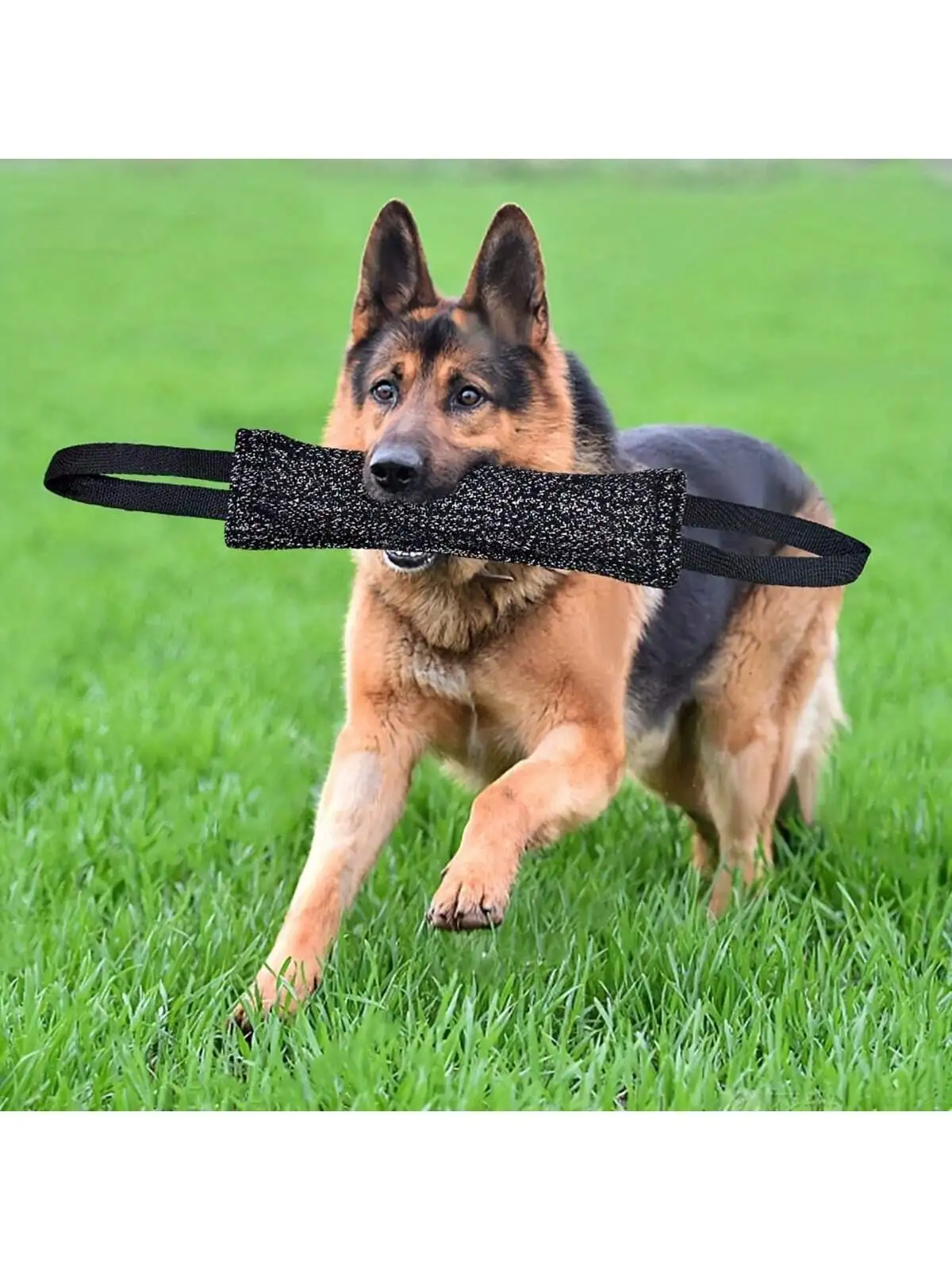 Palo de mordedura de perro para entrenamiento efectivo, mango cómodo para juego interactivo, rechinar dientes y entrenamiento para masticar, 1 unidad