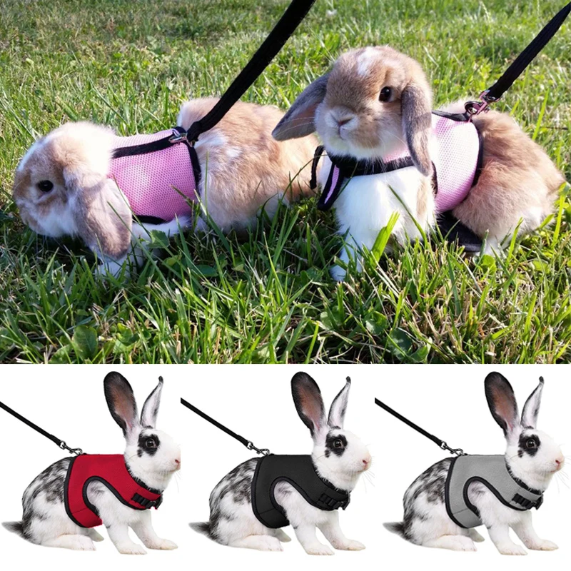 Arnés y Correa Ajustables para Mascotas, para Conejos, Gatos, Hurones, Paseos al Aire Libre, Accesorios para Mascotas, Lapin Accessoires Pour Animaux