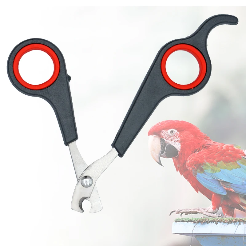 Pet pájaro loro animales pequeños accesorio herramienta de aseo tijeras para uñas cortaúñas negro y rojo