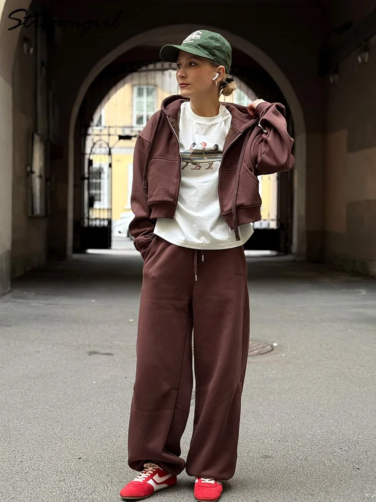 Chándales de mujer, chándal de lana de invierno, sudaderas con capucha y pantalones de chándal marrones cálidos con cremallera, conjunto para mujer, conjuntos de pantalones de terciopelo de 2 piezas, chandal mujer