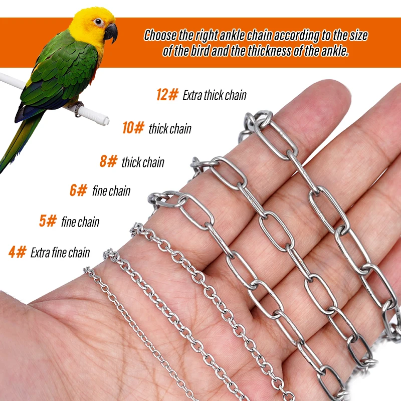 Cadena para pie de loro y pájaro, anillo para tobillo y pie de acero inoxidable, cadena de soporte para entrenamiento de vuelo al aire libre, accesorios para pájaros y palomas