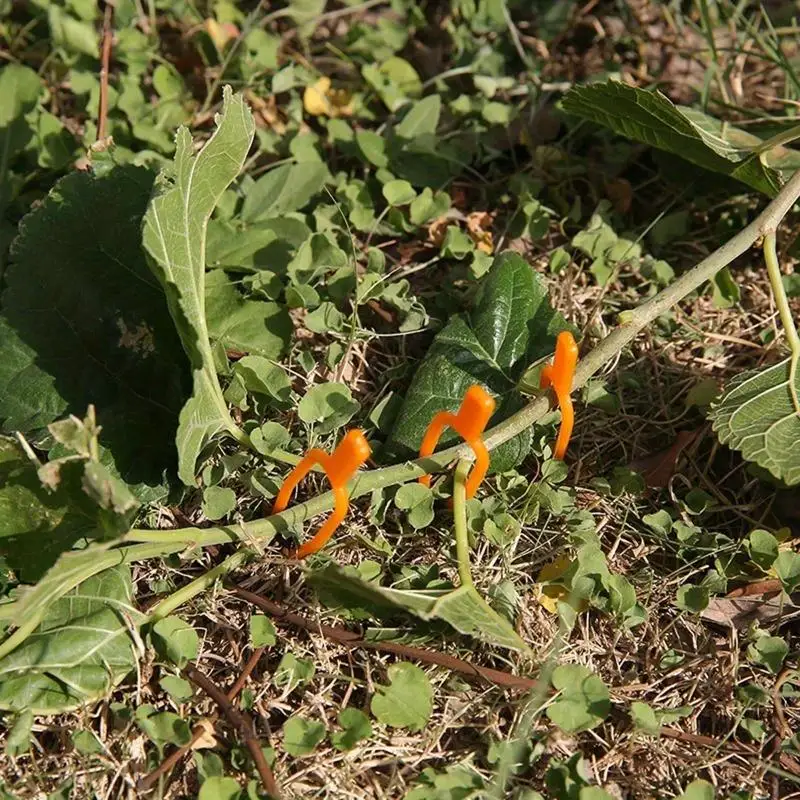 100 Uds Clip para plantas herramienta de tenedor de fresa jardinería plástico ambiental naranja abrazaderas de fijación fija duraderas herramientas fijas para plantas