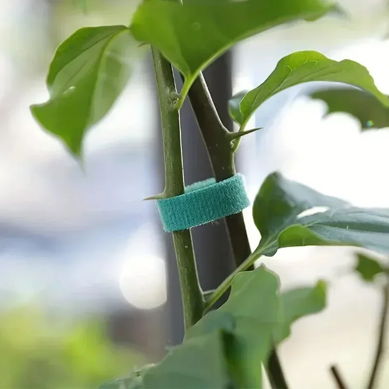Brida para cables de nailon autoadhesiva, soporte de bucle de gancho ajustable verde para plantas, vendaje de hilo de jardín, tiras de cinta de sujeción reutilizables
