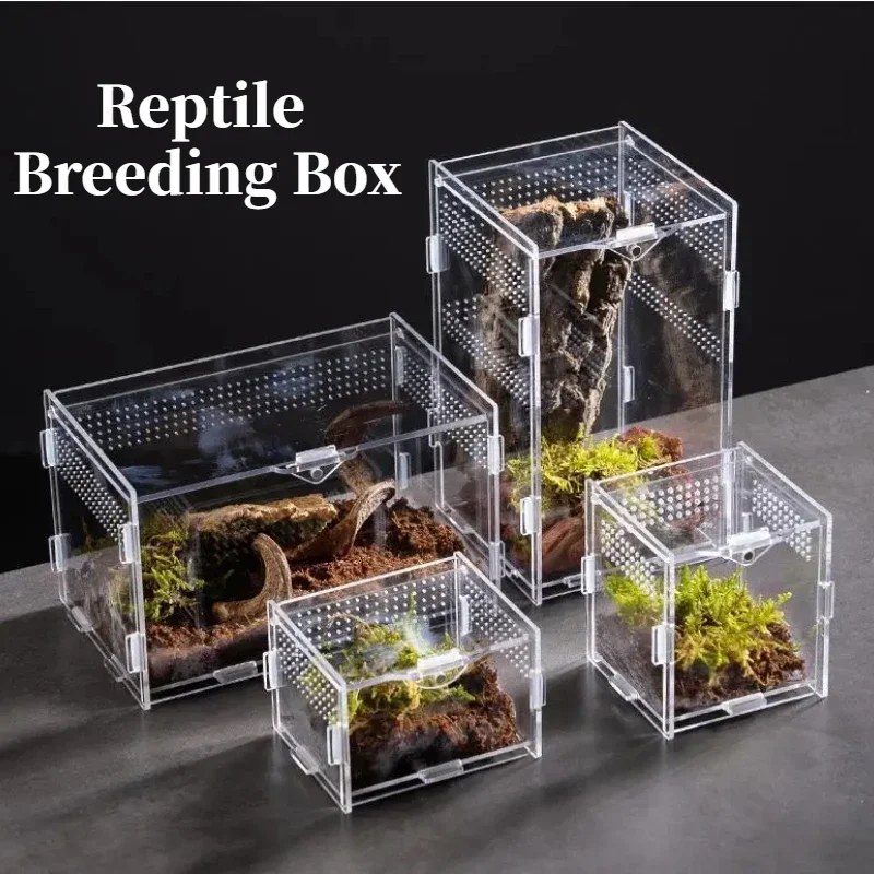 Habitat para reptiles, terrario, caja de cría, caja acrílica, carcasa de tarántula Nano Arboreal, araño, escorpión, dragón barbudo
