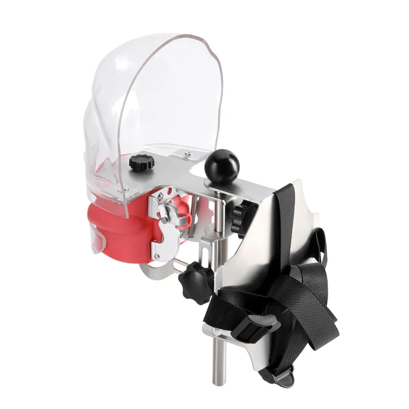 JUMTOP Dental modelo de cabeza Simple práctica simulador de entrenamiento cabeza fantasma Typodont extraíble
