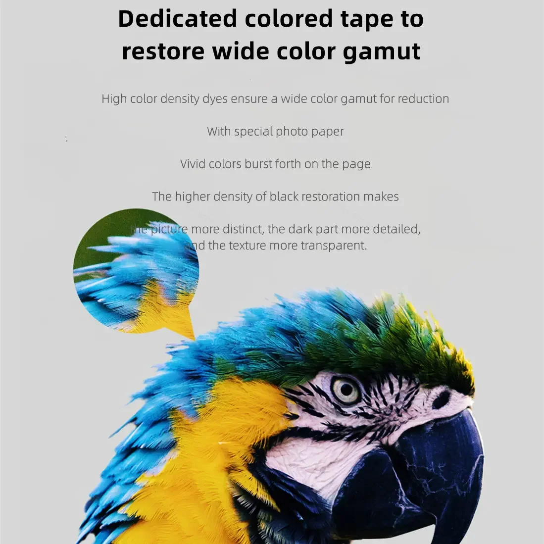 Impresora fotográfica MIjia, juego de 80 rollos de papel fotográfico autoadhesivo de 6 pulgadas, cinta de colores, película protectora HD, papeles fotográficos