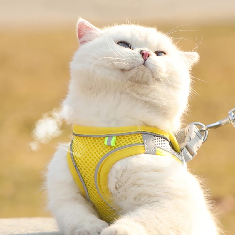 Arnés de chaleco para cachorros y gatos con correa, correas de pecho de malla transpirable para mascotas, arneses reflectantes para Chihuahua y York, correa para pasear Bulldog