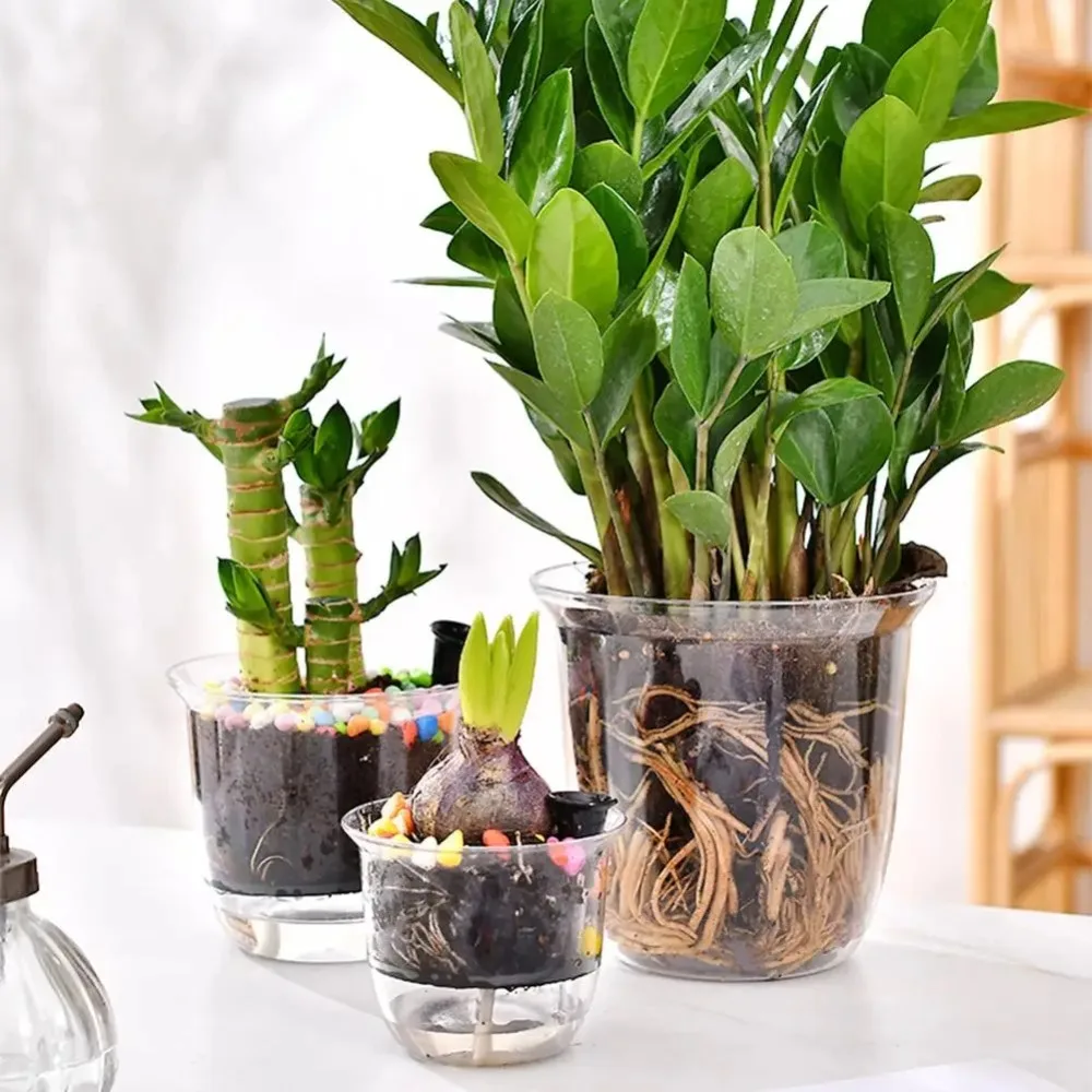 Maceta de plástico de doble capa para plantas, maceta de autorriego transparente con absorción de agua automática, 1 Uds.