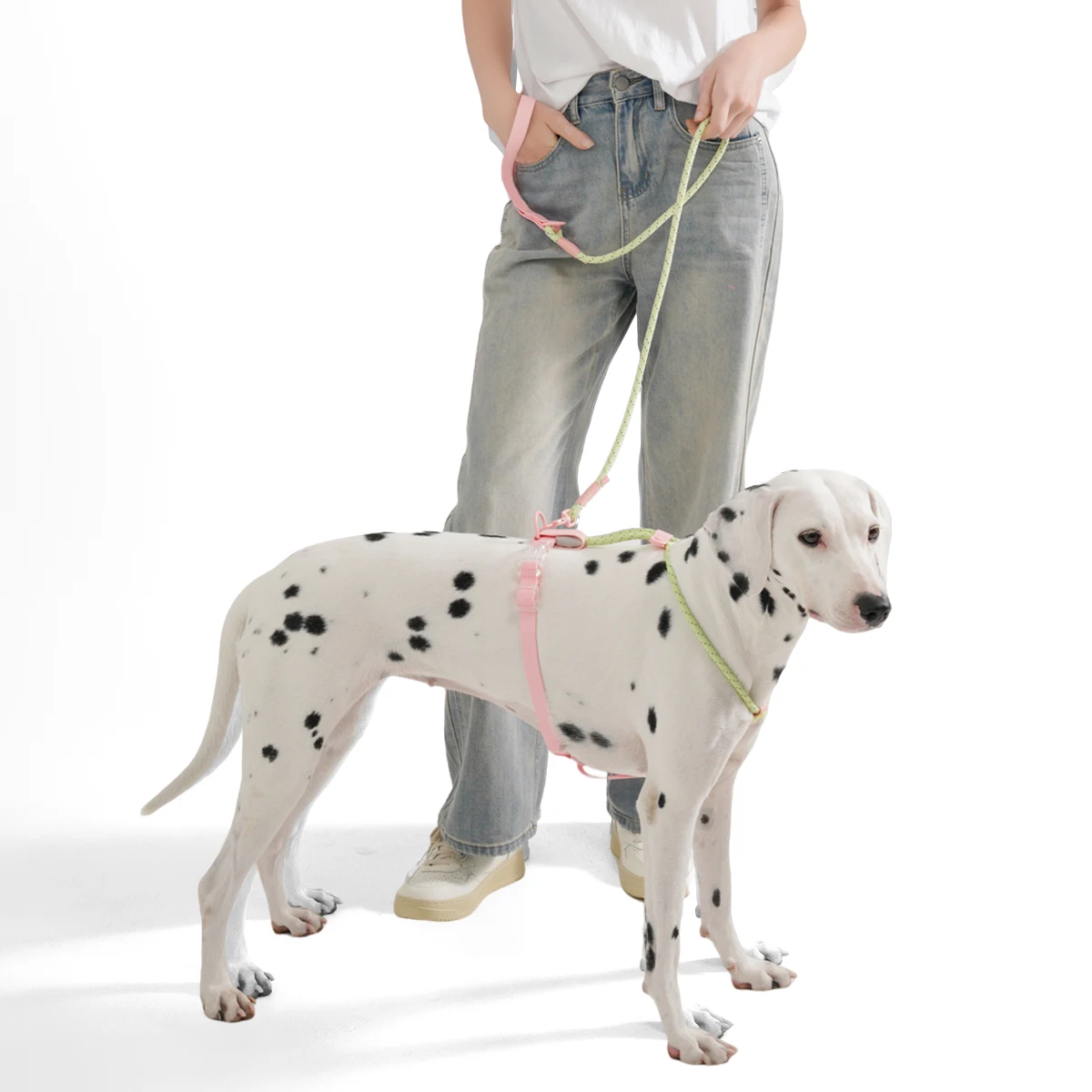 Arnés para perros pequeños y medianos, para verano, para pasear y correr al aire libre, arnés de moda, sin tirones, con correas reflectantes de nailon.
