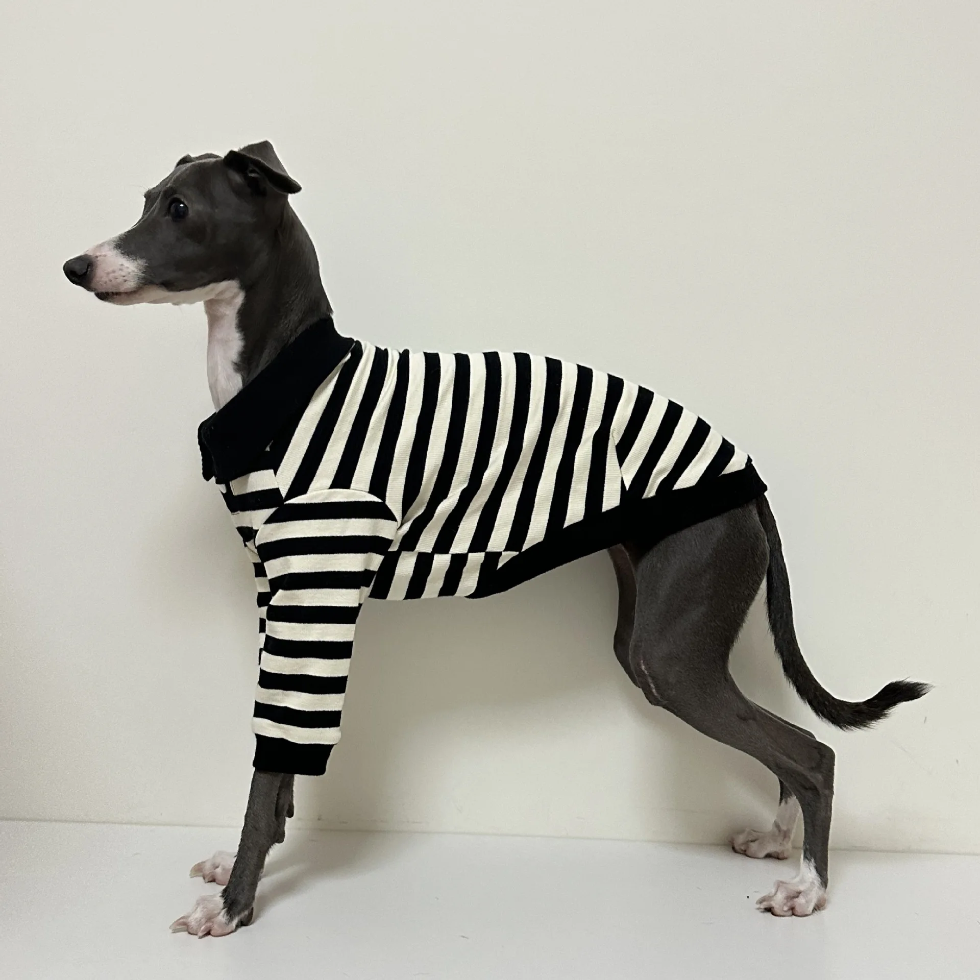 Camisa POLO de algodón puro de otoño e invierno con buena elasticidad ropa para perros galgo italiano Whippet Bedlington Terrier