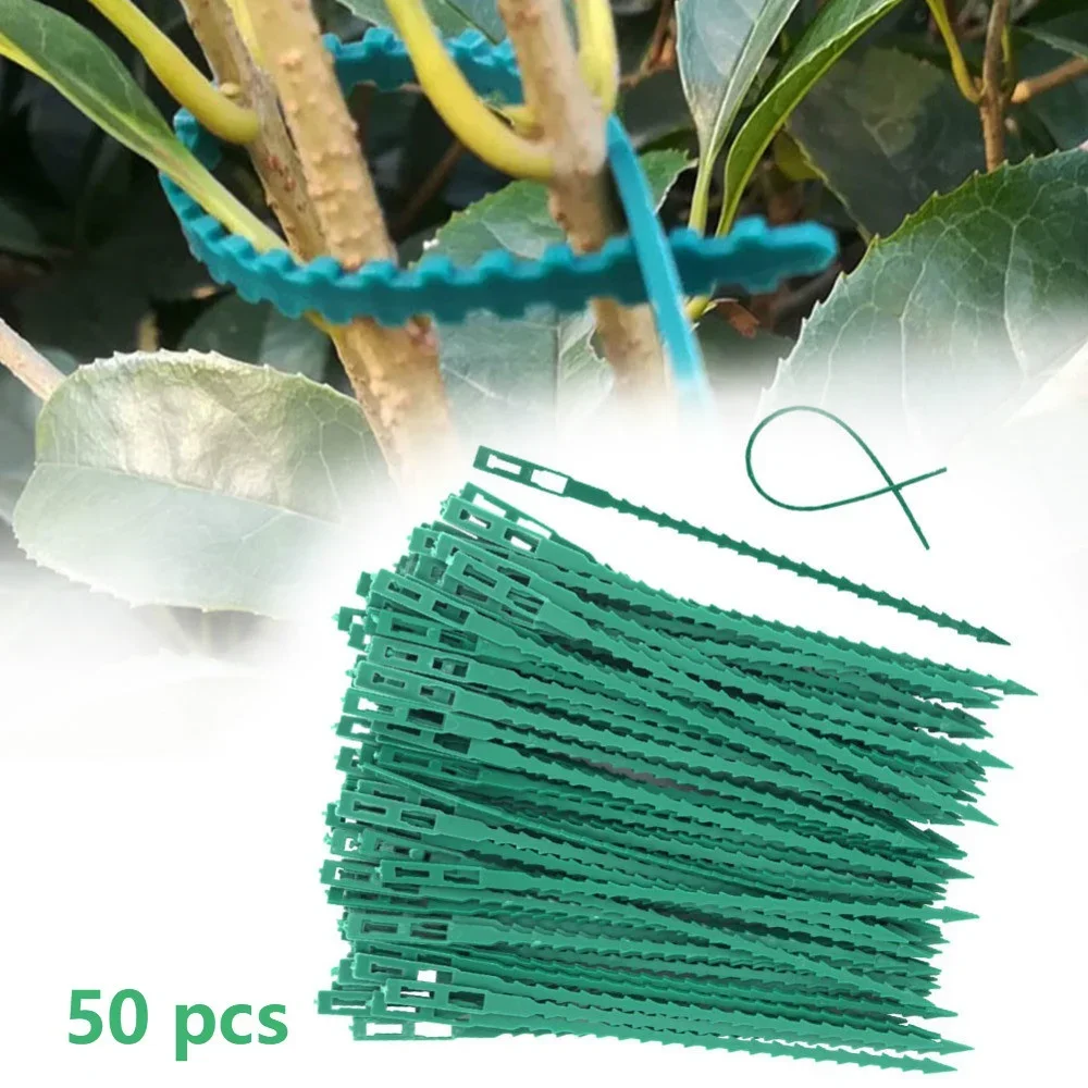 50 Uds. Bridas de plástico ajustables para cables de plantas, bridas para cables reutilizables para jardín, árbol, soporte para escalar plantas, vid, tomate, Clip para tallo