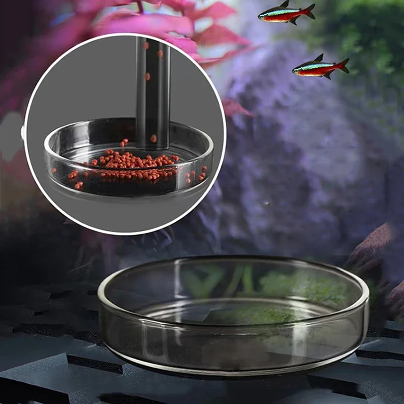 Alimentador de vidrio para acuario, plato de tubo transparente para pecera, camarones, Caracol, tazón alimentador de alimentos, accesorios de alimentación para acuario, alimentadores de camarones