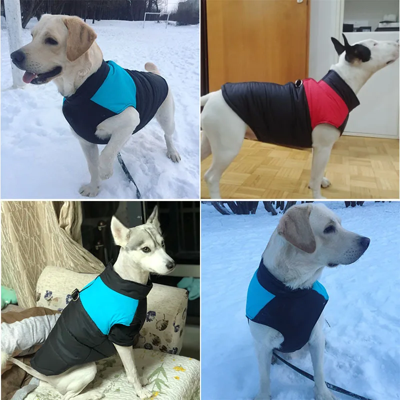 Ropa impermeable de invierno para perros, chaqueta cálida de algodón para mascotas, chaleco para perros pequeños y grandes, abrigo para cachorros, disfraz para Bulldog Francés, Chihuahua, York