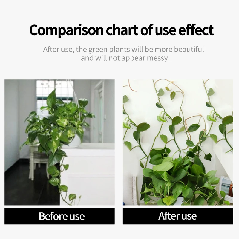 Gancho de hebilla fija autoadhesivo para pared trepadora de plantas, accesorio atado, gancho de hebilla de vid, Clips de vid trepadora para pared de plantas de jardín