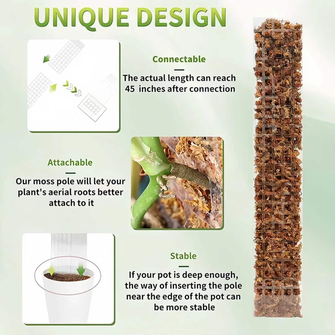 Postes de musgo, soporte para plantas, plástico transparente, reutilizable, palos en macetas para interiores, tren, planta trepadora para crecer hacia arriba para jardín