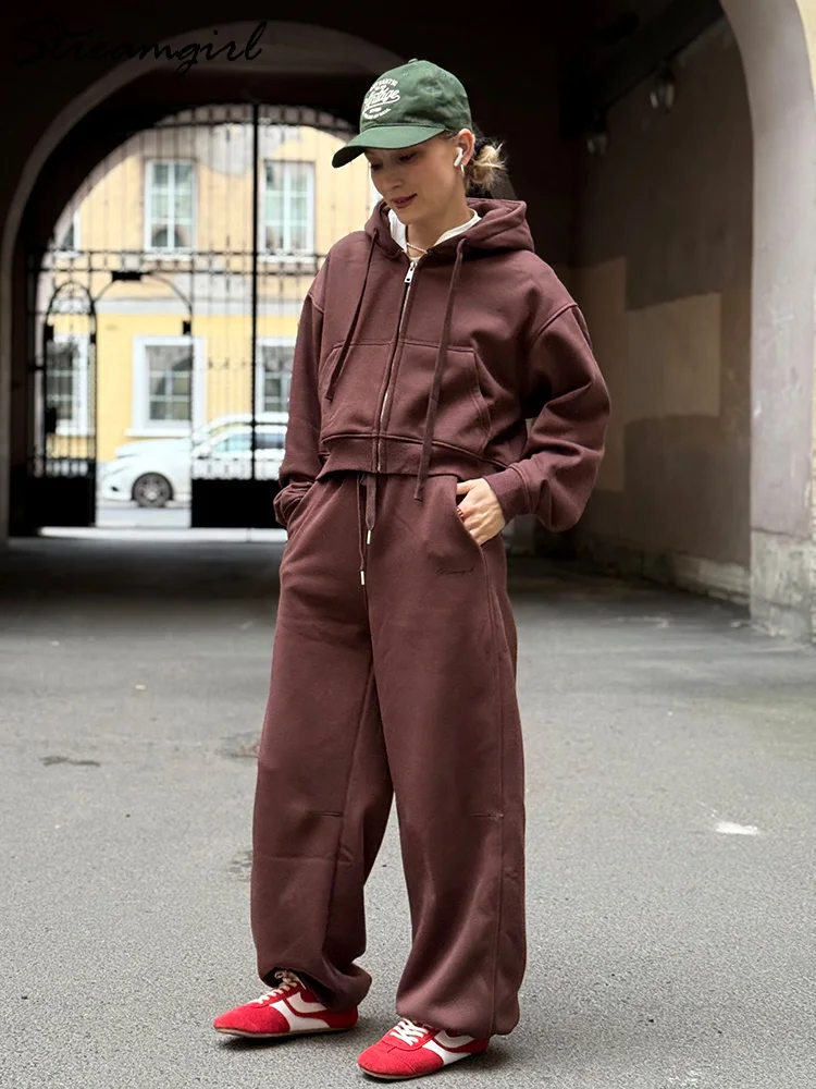 Chándales de mujer, chándal de lana de invierno, sudaderas con capucha y pantalones de chándal marrones cálidos con cremallera, conjunto para mujer, conjuntos de pantalones de terciopelo de 2 piezas, chandal mujer