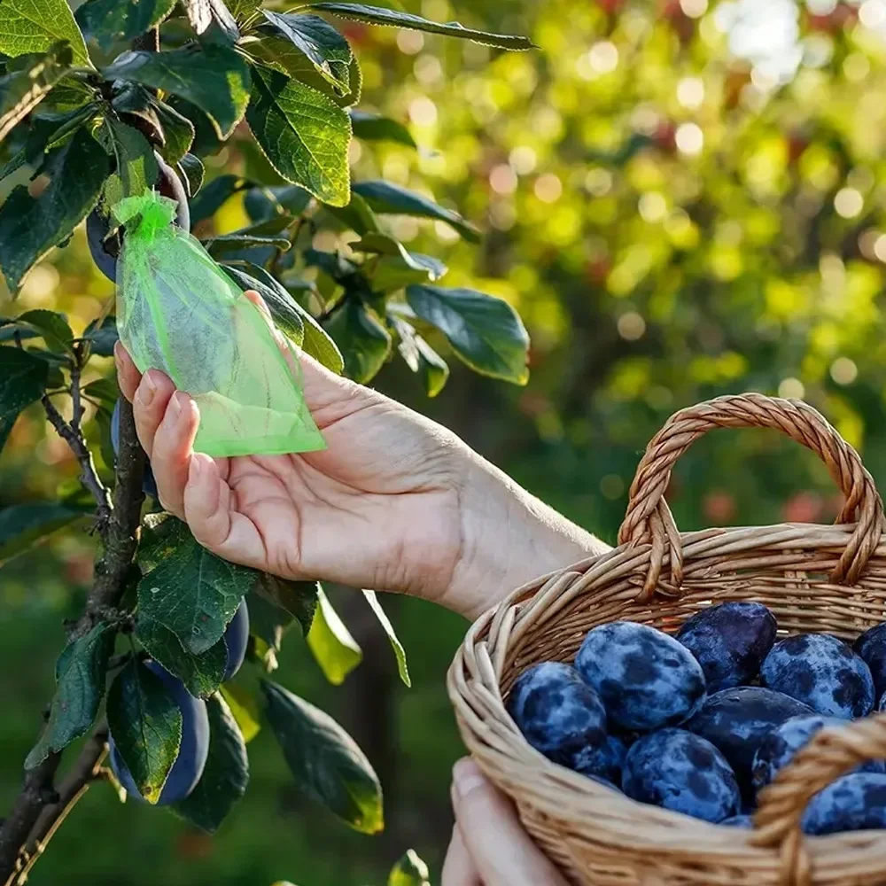 50-300 Uds. Bolsas de malla protectora para frutas, bolsas de protección para uvas, bolsas de malla antipájaros para jardín, cubierta de malla para plantas y vegetales