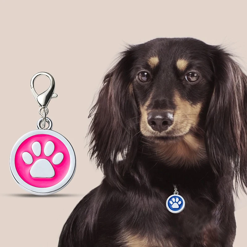Collar de perro personalizable, etiquetas de dirección para perros, medalla con nombre grabado, accesorios para cachorros y gatitos, cadena de collar de gato personalizada
